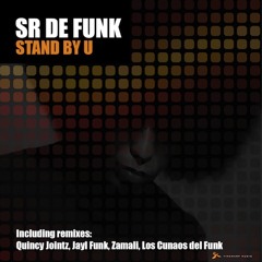 Sr De Funk Stand By You EP teaser.mp3
