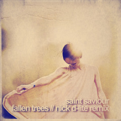 Saint Saviour - Fallen Trees (Nick D-Lite Remix)