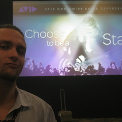 The Avid Capitals - Work is violence