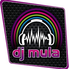 Snoop Dogg ft. Pharrell - Drop It Like Its Hot (DJ Mula 2012 Remix)