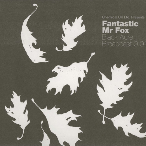 Jamie xx & Fantastic Mr Fox - Miss You