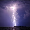Rain Dance For The Perfect Storm - Shawn Ree