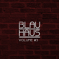 3LAU HAUS #3