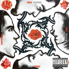 DiosPerm - I Could Have Lied (RHCP cover)