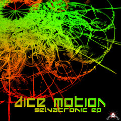 Dice Motion - Selvatronic (megamix)