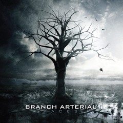 Branch Arterial - Faces