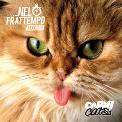 06 Seconda stella a dx [RMX prod. ROC Stars]