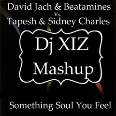 David Jach & Beatamines vs.Tapesh & Sidney Charles - Something Soul You Feel (Dj XIZ Mashup) FREE