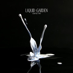sun stream (eintakt 026 liquid garden chapter II)
