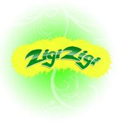 ZigiZigi - La Musica Disco