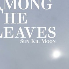 Sun Kil Moon AMONG THE LEAVES