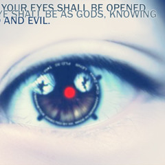 Calling Out (Stand Alone Complex)