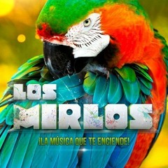 Los Mirlos -  La Danza de Los Mirlos (Abtomic Edit) (Guiro Bombas EP)