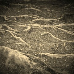 sen pod girową, girowa 280412