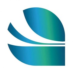 La Sono WF au Worldwide Festival 2012 à Sète