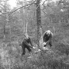 Høggere Feat. Tegn Og Tale, Onkl P, Jaa9 og Mats Dawg (Prod: Agenten)