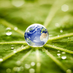 Syrou - Nature's call (preview mix)