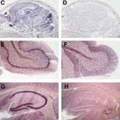 MadClone - MadColour X Clone166