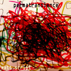 Matt Script - Permatransience - 01 Somebody New