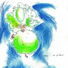 Birds Fly Information