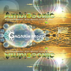 Gagarin Project - 13 - Unity (Ambiosonic 2012 - part 1 of 3) [GAGARINMIX-13] (psychedelic mix)