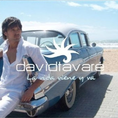 David Tavare - Summer love (Remix)
