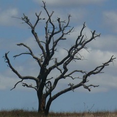 Alberto R. Tusi - Ç'ôite (2012)