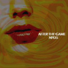 After The Game - NPD3 feat. Naoki