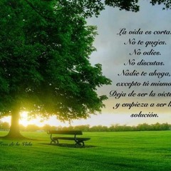 chido