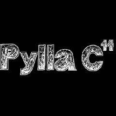 Pylla C14 - Sentimento perdido