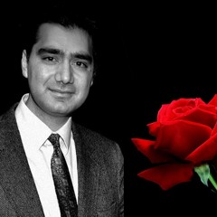 یاد گل سرخ MEMORY OF ROSE