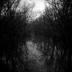 Dark River