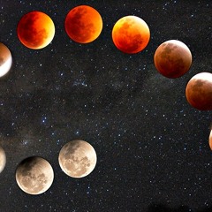 Brendangerous - Tribal Transformations