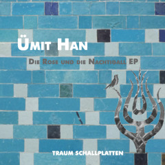 Uemit Han - An Einem Traurigen Morgen (Microtrauma Remix) // Traum Schallplatten