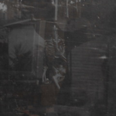 PRISONS   smoke signals