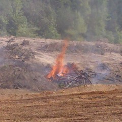 Rising Nova at Mi Pueblo