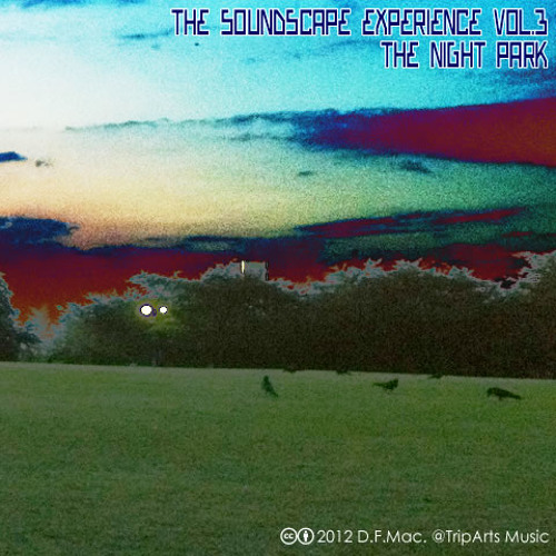 The Soundscape Experience