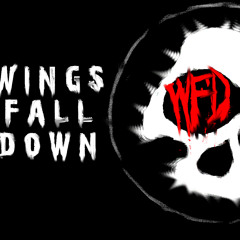 Wings Fall Down - The Line Between Us