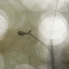 listening mirror 'the clearing'