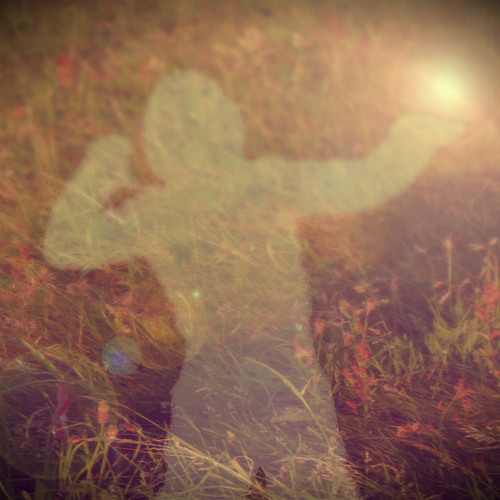 Greenfields