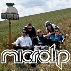 Microlip - Making Money