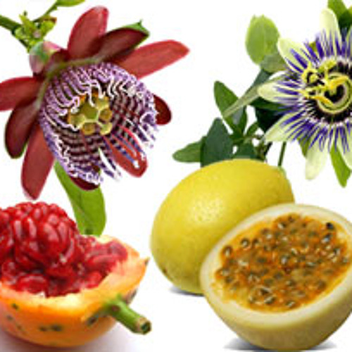 Esteman Fruit De La Passion By Anacaona