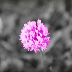 Redimi2 Feat Tercer Cielo - Yo Sere Tu Sol