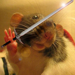 When Mice Bounce! Animation Score