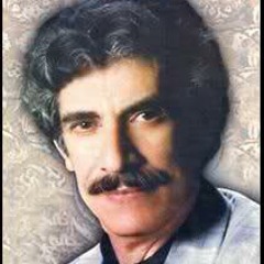 Ostad Razavi Sarvestani استاد رضوی سروستانی