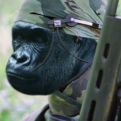 White stripes Hardstyle thing