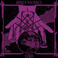 In Velvet Flight, In Satin Skies