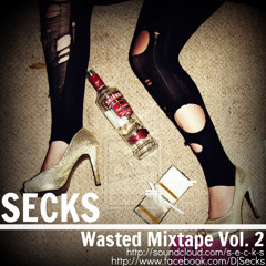 SECKS-Wasted Mixtape Vol. 2