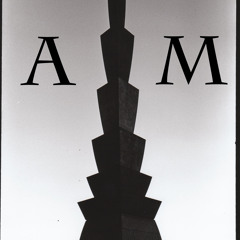 Rollin' Through My Hood AMix