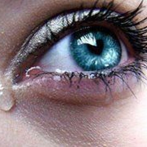 Gerçek Bir Dostluk Hikayesi